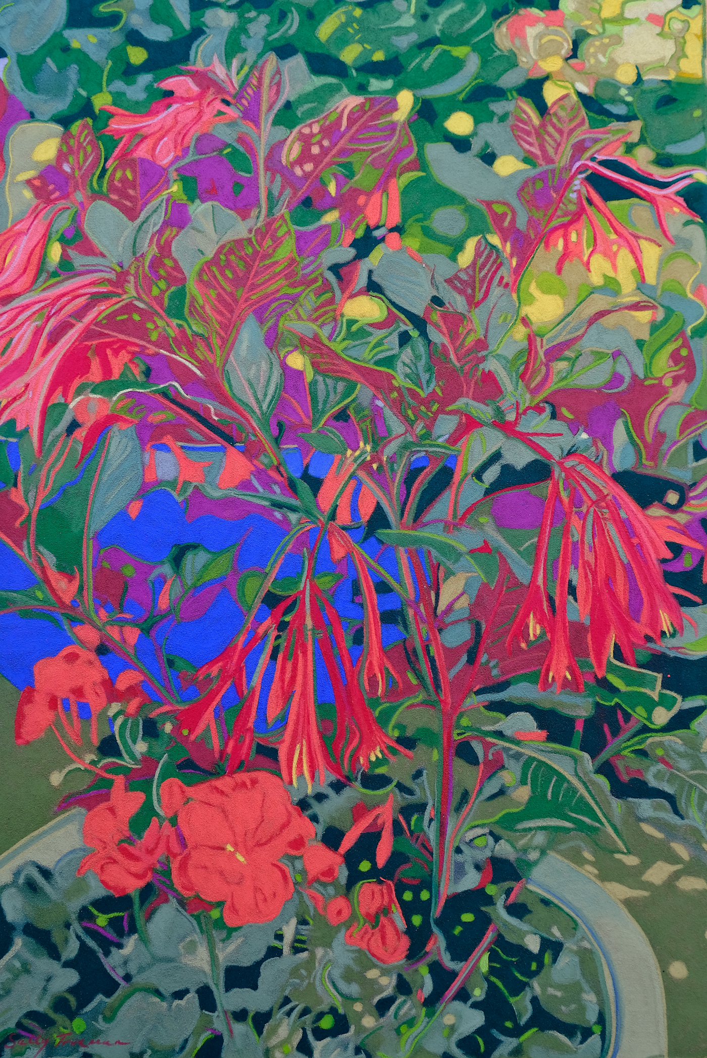 Flare of Summer Bloom