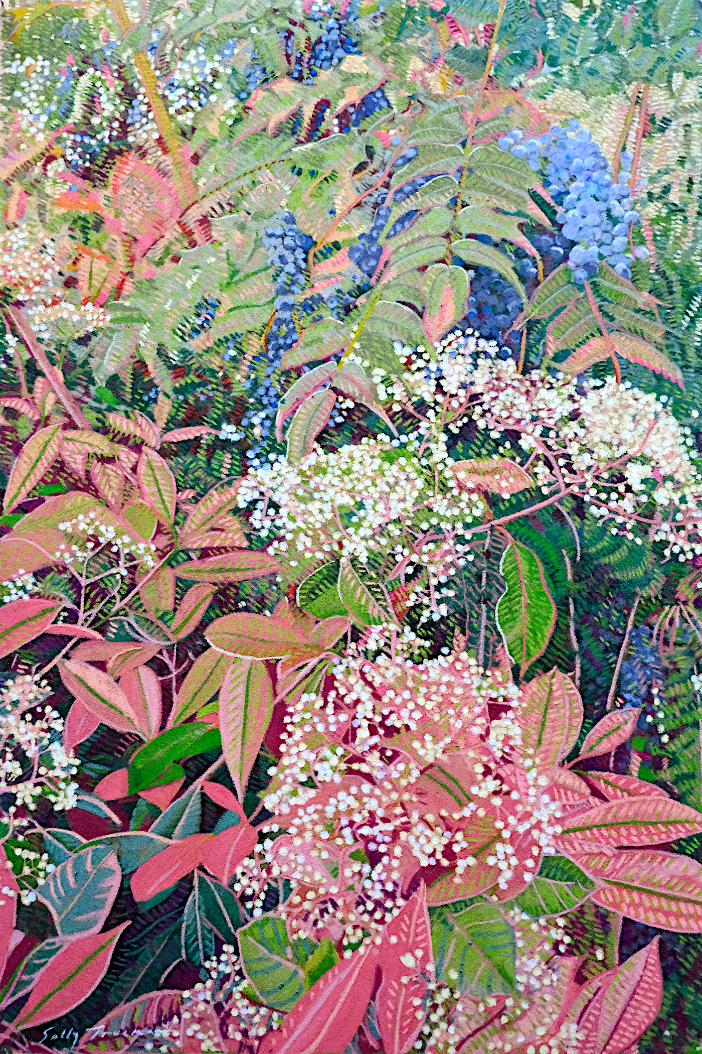 Mahinia Among Leaves