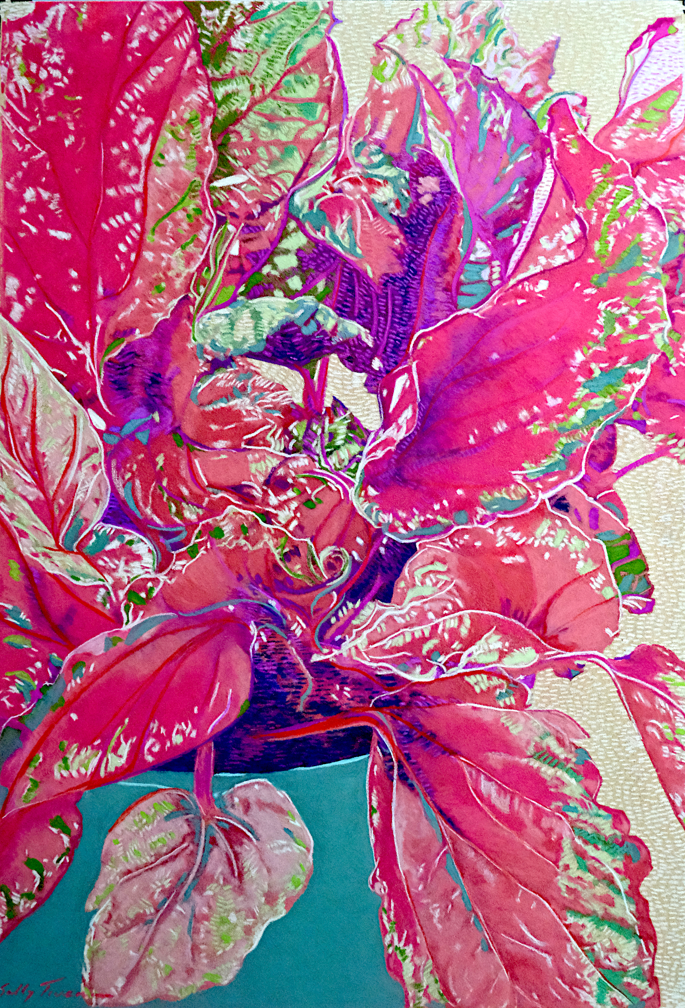 Begonia in a Turquoise Embrace